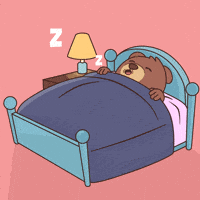 Good Night Fun GIF by BEARISH