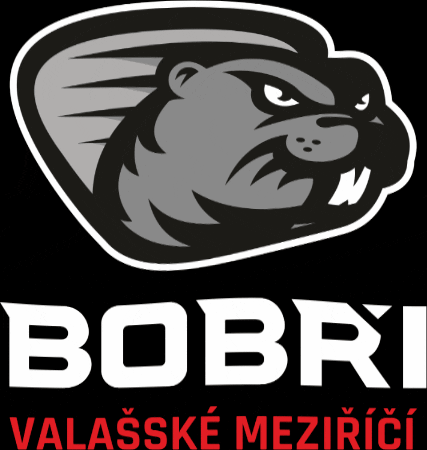 hcbobri giphygifmaker valmez valasskemezirici bobri GIF