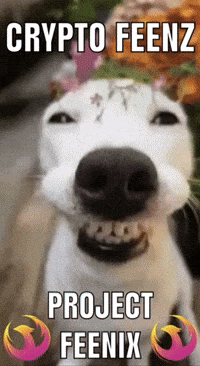 projectfeenix moon lfg feen feens GIF