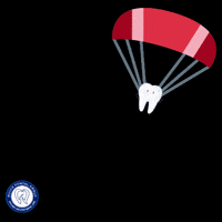 National Day Singapore GIF by Royce Dental