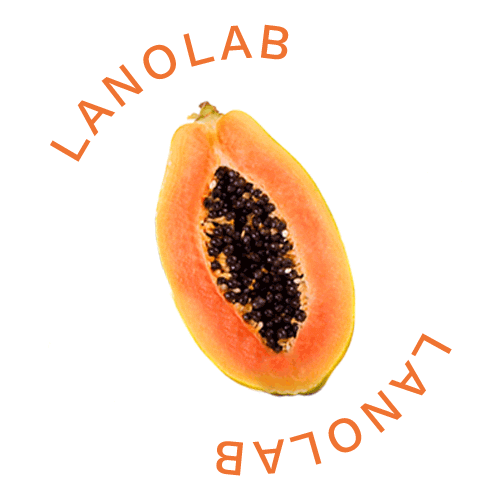 Papaya Natural Skincare Sticker by lanolab