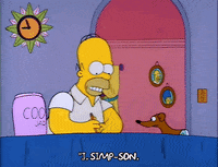 Season 2 GIF by The Simpsons