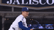 Celebrate Los Angeles Dodgers GIF by MLB