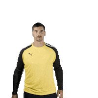 mhbofficiel sport handball puma on air Sticker