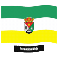 Las Palmas Flag Sticker by Formación Ninja