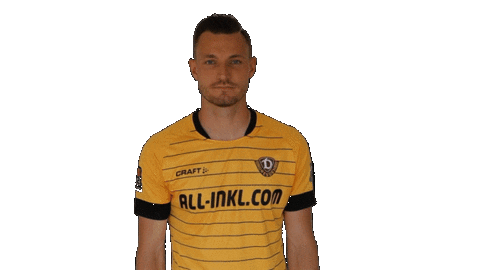 Bundesliga Celebrate Sticker by SG Dynamo Dresden