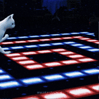 scottnblackcat fridaynight scottnblackcat scottfriday GIF