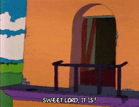 Season 2 GIF by The Simpsons