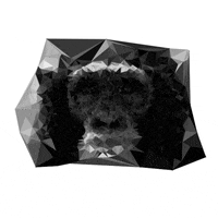 monkey processing GIF by Jodeus