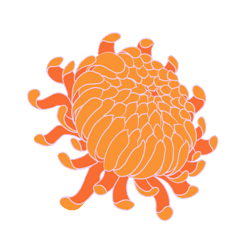 JesFortner_Illustration illustration sticker nature flower Sticker