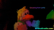 BirdCallRadio ghost boo leave leaving GIF