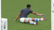 World Rugby Sport GIF by Rugby World Cup
