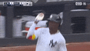 Celebrate New York Yankees GIF by MLB