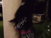 Bad Girls Club GIF