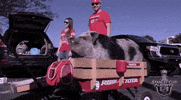 Ice Hockey Sport GIF by NHL
