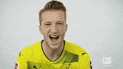 happy borussia dortmund GIF by Bundesliga