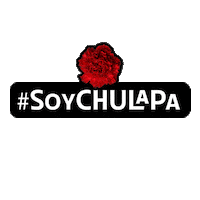 Sanisidro Chulapa Sticker by Visita Madrid