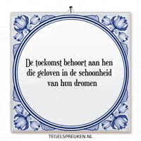 Hoop Nl GIF by Tegelspreuken.nl