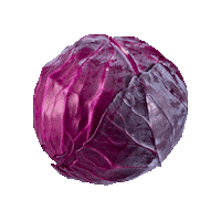 Get Some Red Cabbage Sticker by Salt And Savour Sauerkraut