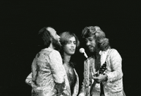 beegees bee gees GIF