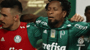 despedida ze roberto GIF by SE Palmeiras