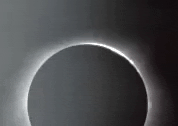 Art Film GIF by jorgemariozuleta