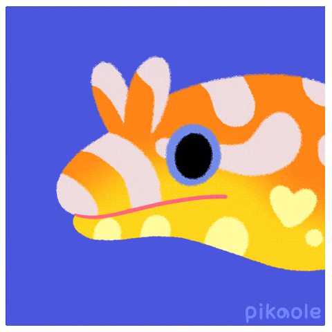 Happy Marine Life GIF by pikaole