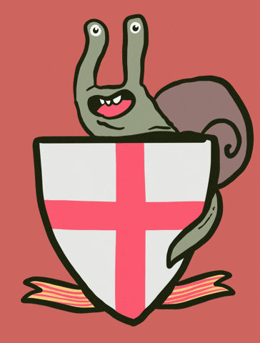 Snail Caracol GIF