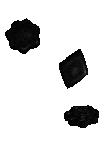 Candy Dessert Sticker by Danio