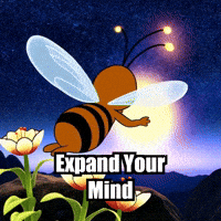 Transformation Wisdom GIF by Beelightened