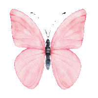 Borboleta Rosa Sticker