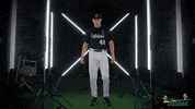 Tulane Rollwave GIF by GreenWave