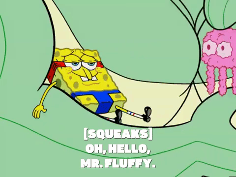 season 6 episode 13 GIF by SpongeBob SquarePants