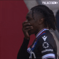 Premier League Oops GIF by Crystal Palace Football Club