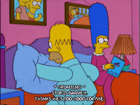 homer simpson GIF