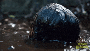 GIF by Lionsgate