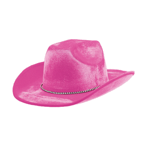 Pink Gay Sticker by Haggertys & Co