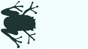 Jump In Water GIF by Barbara Pozzi