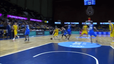 Liga Endesa Basketball GIF by ACB