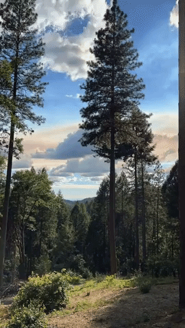 Electra Fire Creates Smoky Skies in California