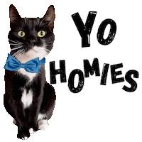 Buddies Hi You Sticker