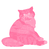 Cat Heart Sticker