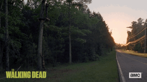 twd GIF by The Walking Dead