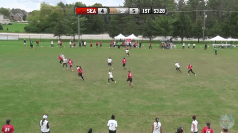 flikulti ultimate frisbee flik GIF