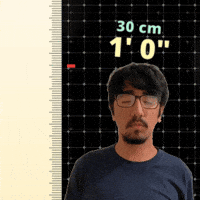 One Foot 30 Cm GIF
