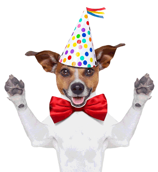 fiesta cumple Sticker