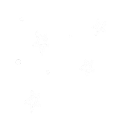 Stars Shine Sticker