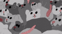 Opendoor rats2