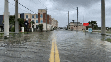 Florida Storm GIF by Storyful