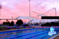 swimmingclub training swimming practice oaka GIF